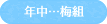 年中